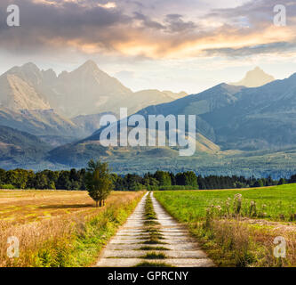 Paesaggio composito immagine. Alberi solitari vicino percorso attraverso rurale campi verdi a picchi rocciosi della montagna in sera haze dietro Foto Stock