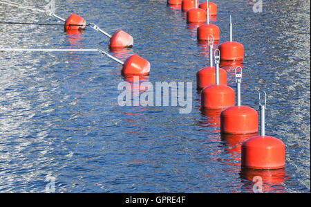 Piccolo rosso boe di ormeggio in una fila, marina europea, attrezzature nautiche Foto Stock