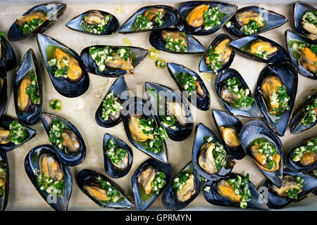 Cozze fresche con aglio e prezzemolo con olio di oliva close up Foto Stock