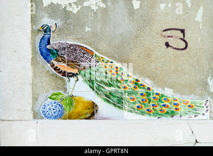 Pavone in maiolica Foto Stock
