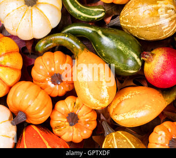 Vista aerea stagionale di autunno gourd decorazioni sulle foglie. Riempite il layout del telaio. Foto Stock