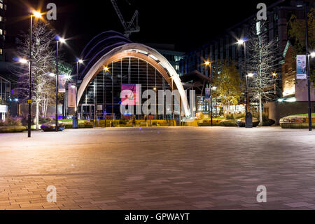 Sheffield nella notte - Giardino invernale Foto Stock