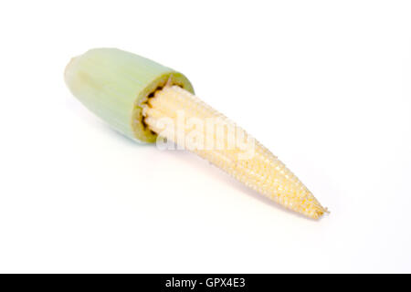 Bambino frutto di mais (noto anche come giovani mais, mini mais, cornlettes, candela mais Zea mays L, Gramineae) raggruppati e isolate su wh Foto Stock