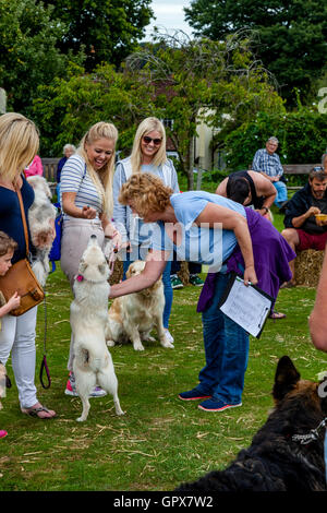 Il Dog Show All'annuale Hartfield Village Fete, Hartfield, East Sussex, Regno Unito Foto Stock