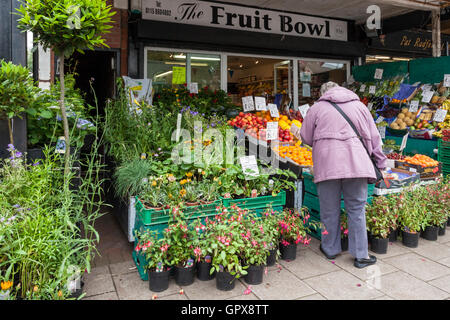 Persona shopping per frutta, ortaggi e piante presso un negozio su high street, Nottinghamshire, England, Regno Unito Foto Stock