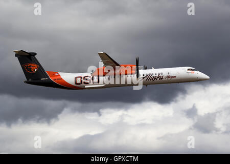 Alaska Airlines, Horizon Air, Bombardier Dash 8 Q402 a turboelica (N440QX) in Oregon State University castori regime. Foto Stock