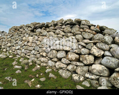 Antico muro di pietra a secco realizzato con ciottoli di spiaggia ricoperti di licheni rotondi, Balnahard, Isola di Colonsay, Scozia, Regno Unito. Foto Stock