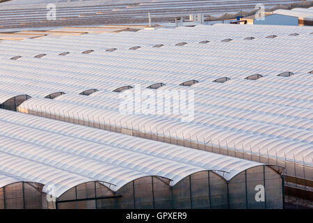 Serra industriale di crescere fuori stagione le verdure Foto Stock