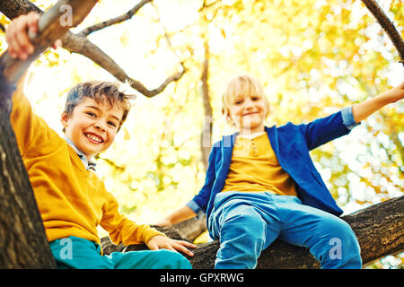Maliziosa ragazzi su albero Foto Stock