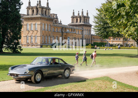 Salon prenotazione presso il Palazzo di Blenheim 2016. La Ferrari 330 GTC 1968 Foto Stock