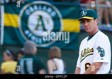 Giugno 14, 2011; Oakland, CA, Stati Uniti d'America; oakland athletics manager bob melvin (6) sta dietro la piastra iniziale prima che la partita contro i Kansas City Royals a Oakland-alameda county coliseum. kansas city sconfitto oakland 7-4. Foto Stock