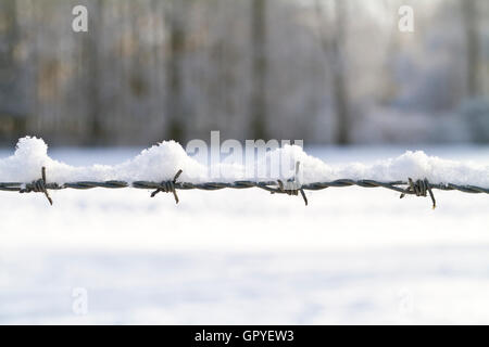 Coperta di neve trefolo di filo spinato con profondità di campo Foto Stock