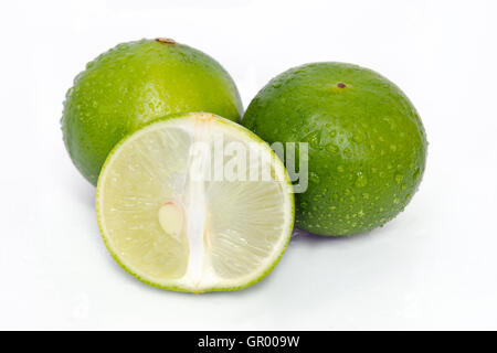 Limone (Altri nomi sono calce in francese, agrumi, verde lime, key lime, persiano di calce, combava, deserto lime) con ha Foto Stock