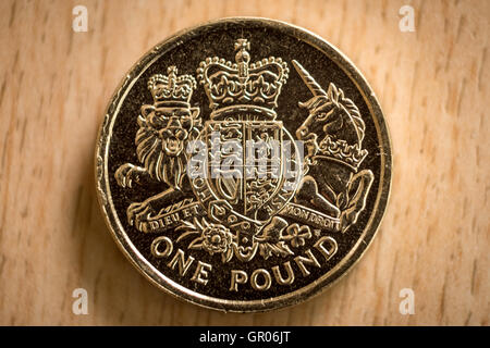 Un 2013 British una libbra di moneta, con l'emblema floreale di Inghilterra, progettato da Tiomthy Noad. Foto Stock