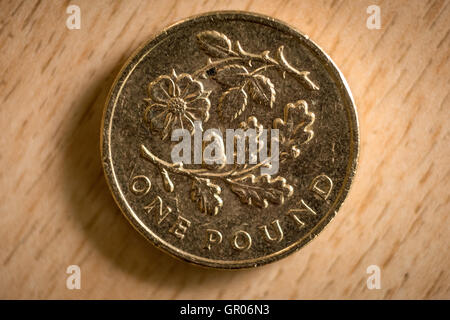 Un 2013 British una libbra di moneta, con l'emblema floreale di Inghilterra, progettato da Tiomthy Noad. Foto Stock