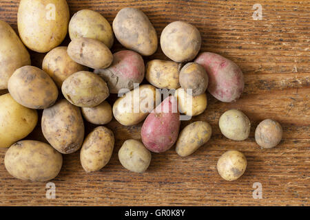 Varie patate organico come un naturale ancora in vita per una sana e cibo vegetariano come top visualizza immagine di sfondo per il ringraziamento Foto Stock