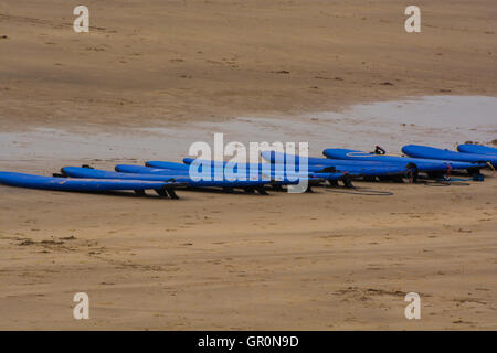 SchoolThis foto mostra una fila di tavole da surf schierate sulla spiaggia in attesa per la classe successiva per iniziare. Foto Stock