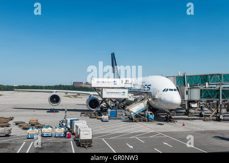 L'Airbus A380 di Singapore Airlines arrivati all'Aeroporto Internazionale di Pechino Foto Stock