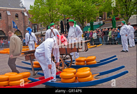 Vettori di formaggio il trasporto dei formaggi pesanti sulle slitte di legno chiamato 'bacche' presso il mercato del formaggio di Alkmaar, Olanda Foto Stock