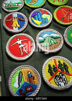 Badge di merito anta, Boy Scouts of America, STATI UNITI D'AMERICA Foto Stock