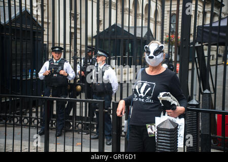 Londra REGNO UNITO. 5 settembre 2016. Una donna dimostra a Downing Street in piedi con una maschera per protestare contro l'abbattimento. Credito: Alberto Pezzali/Alamy Live News Foto Stock