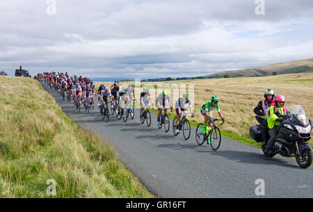 Caldbeck fells, Cumbria, Regno Unito. 5 Settembre, 2016. Cumbria, fase 2, il tour della Gran Bretagna 05-09-16. Su open moorland sul Caldbeck fells, il fronte principale peloton proviene oltre il ciglio di una collina prima di iniziare la discesa in Uldale. Credito: Julie friggitrice/Alamy Live News Foto Stock