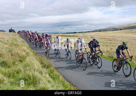 Caldbeck fells, Cumbria, Regno Unito. 5 Settembre, 2016. Cumbria, fase 2, il tour della Gran Bretagna 05-09-16. Su open moorland sul Caldbeck fells, il peloton principale proviene oltre il ciglio di una collina prima di iniziare la discesa in Uldale. Credito: Julie friggitrice/Alamy Live News Foto Stock