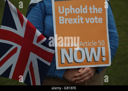 Londra, Regno Unito. 5 Settembre, 2016. Un pro Brexit sostenitore in parliment quadrato come MP,s discussione su una petizione per chiedere un secondo referendum UE. Credito: Thabo Jaiyesimi/Alamy Live News Foto Stock