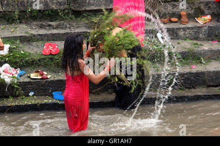 Kathmandu, Nepal. 6 Sep, 2016. Donne indù partecipare in un bagno rituale per pulire se stessi sulla banca del fiume Bagmati durante il Rishi panchami festival in Kathmandu, Nepal, Sett. 6, 2016. Rishi panchami festival segna la fine dei tre giorni di festival Teej quando le donne culto Sapta Rishi (Sette Santi) e pregare per la salute per il loro marito mentre le donne non sposate desiderate per il bel marito e felice vita coniugale. © Sunil Sharma/Xinhua/Alamy Live News Foto Stock