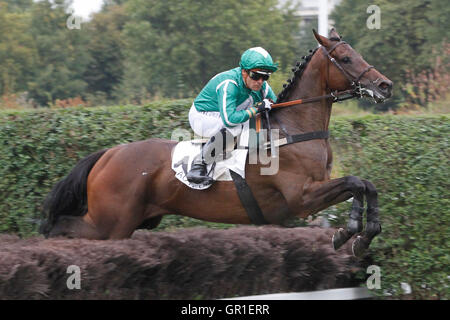 Auteuil, Route des Lacs a Parigi, Francia. 6 Settembre, 2016. Gara 7, Falzarego sostenendo ostacolo. Acceleratore cavalcato da Jo Audon Credit: Azione Plus immagini di sport/Alamy Live News Foto Stock