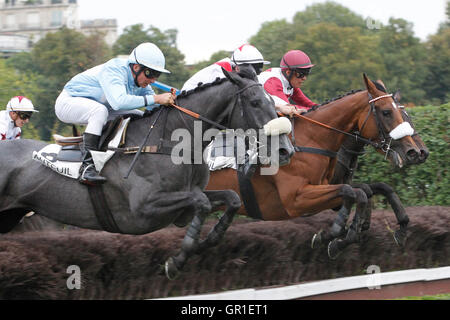 Auteuil, Route des Lacs a Parigi, Francia. 6 Settembre, 2016. Gara 7, Falzarego sostenendo ostacolo. Tanagan cavalcato da un credito Teissieux: Azione Plus immagini di sport/Alamy Live News Foto Stock