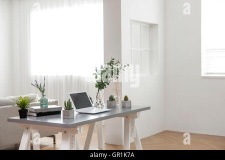 Interior piantati con pentole e computer portatile sul tavolo Foto Stock