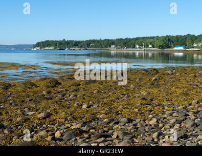 Vista in lontananza la città dal molo Searsport Maine durante la bassa marea in estate. Foto Stock