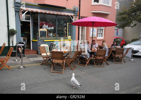 Un gabbiano in Tenby, South Wales, Regno Unito Foto Stock