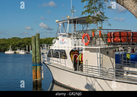 Florida Keys, Key Largo, John Pennekamp Coral Reef State Park, Marina, Porto, barca Foto Stock