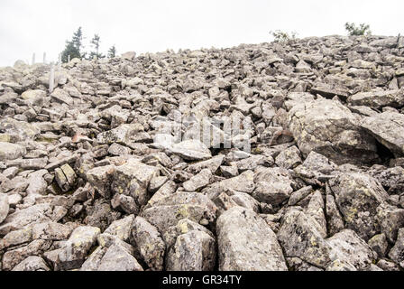 Blockfield sulla collina Lusen in Bayerischer Wald (Foresta Bavarese) mountain range Foto Stock