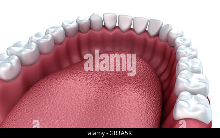 Aprire dentiera isolato su bianco Foto Stock