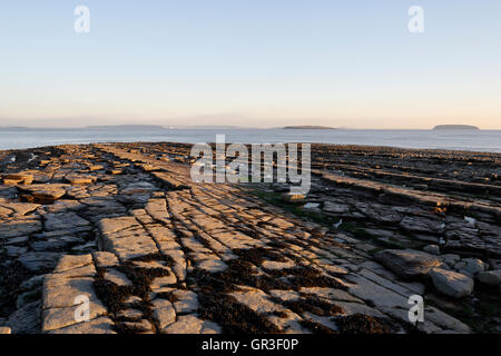 Bassa marea a Lavernock Point, Galles, Regno Unito, costa gallese, costa britannica Vista panoramica della spiaggia e cielo rocce sedimentarie Blue lias luce naturale Foto Stock