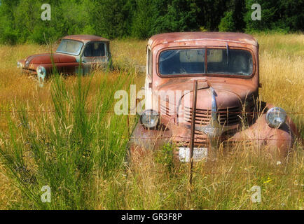 Due camion pick-up della metà del secolo si levano tranquillamente in piedi su un campo libero nel Pacifico nord-ovest dello stato di Washington. Foto Stock