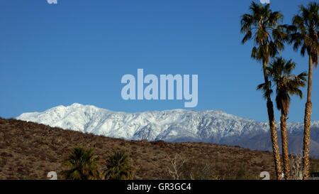 Snow capped Toro picco nelle montagne di Santa Rosa California fan palme sul lato Foto Stock