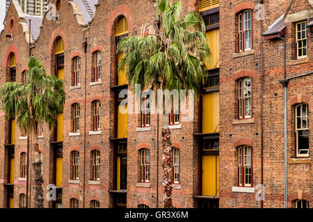 Vecchio Australasian Steam Navigation Company Edificio, rocce, Circular Quay, Sydney, Nuovo Galles del Sud, Australia Foto Stock