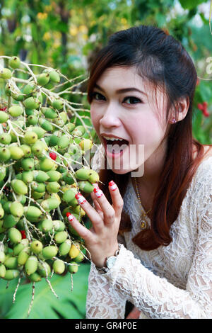 Donne asiatiche con betel palm Foto Stock