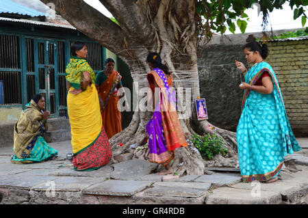 Festival indiano - Iva Savitri: il festival Savitri cade il giorno di luna piena del mese Jyeshtha, India. Chiamato anche Banyan Foto Stock