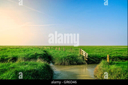 Campo Foto Stock