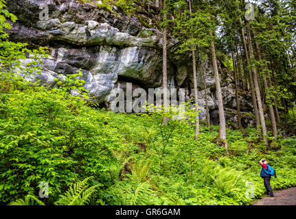 Roccia In foresta Foto Stock