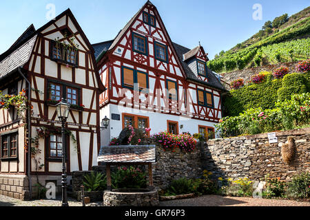 Casa Half-Timbered Foto Stock