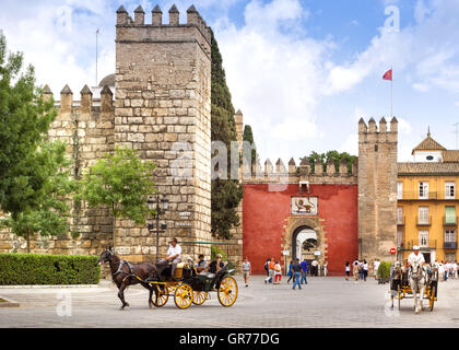 Plaza del Triunfo in Sevilla Foto Stock