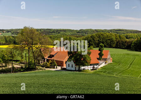 Agriturismo con campi in primavera, Sayony inferiore, Germania, Europa Foto Stock