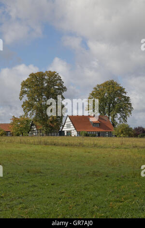 Casa con travi di legno in autunno, Georgsmarienhuette, Osnabrueck paese, Bassa Sassonia, Germania Foto Stock