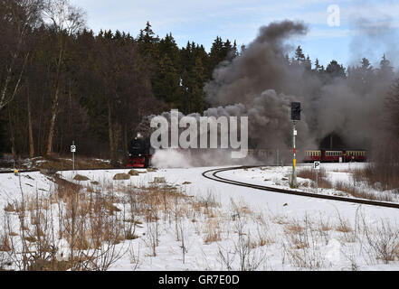 Viaggio in treno nel Harz Foto Stock